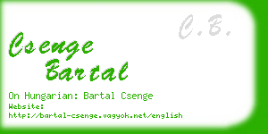 csenge bartal business card
